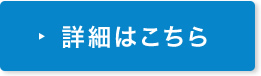 詳細について